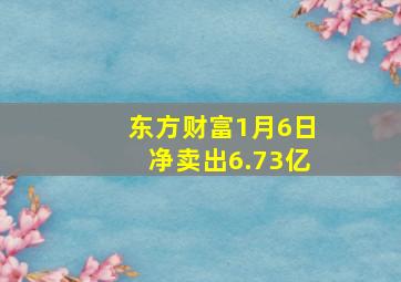 东方财富1月6日净卖出6.73亿