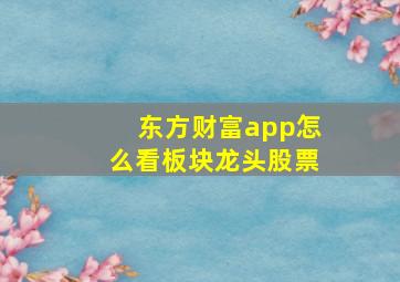 东方财富app怎么看板块龙头股票