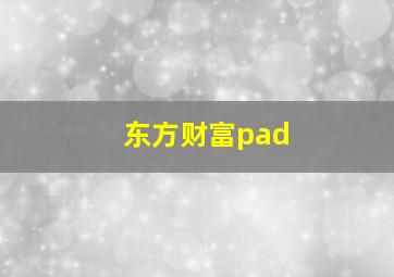 东方财富pad