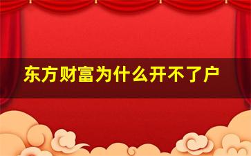 东方财富为什么开不了户