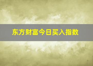 东方财富今日买入指数