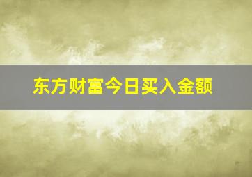 东方财富今日买入金额