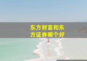 东方财富和东方证券哪个好