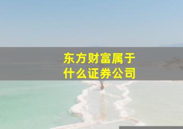 东方财富属于什么证券公司