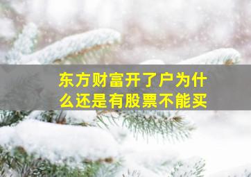 东方财富开了户为什么还是有股票不能买