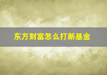 东方财富怎么打新基金