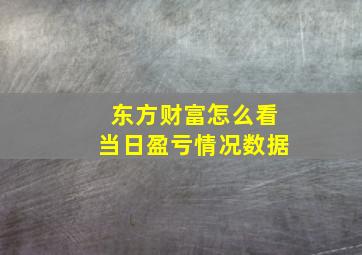 东方财富怎么看当日盈亏情况数据