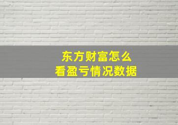 东方财富怎么看盈亏情况数据