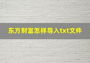 东方财富怎样导入txt文件