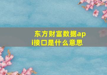 东方财富数据api接口是什么意思