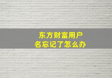 东方财富用户名忘记了怎么办