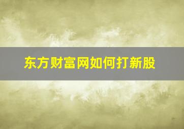 东方财富网如何打新股