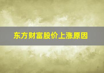 东方财富股价上涨原因