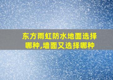 东方雨虹防水地面选择哪种,墙面又选择哪种