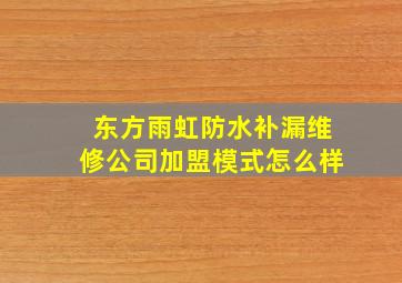 东方雨虹防水补漏维修公司加盟模式怎么样