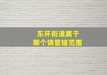 东环街道属于哪个镇管辖范围