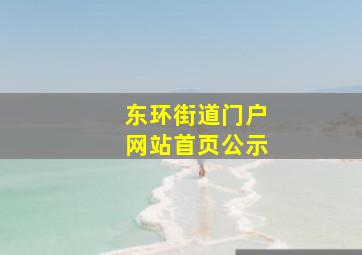 东环街道门户网站首页公示