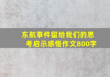 东航事件留给我们的思考启示感悟作文800字