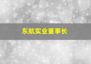 东航实业董事长