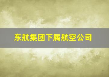 东航集团下属航空公司