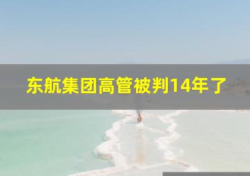 东航集团高管被判14年了