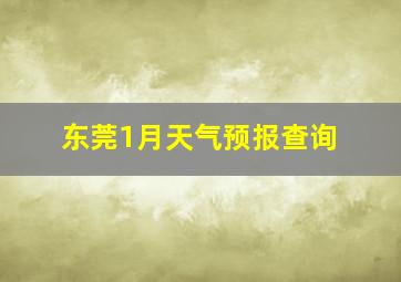 东莞1月天气预报查询