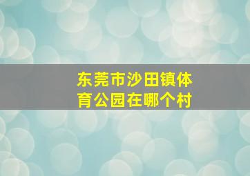 东莞市沙田镇体育公园在哪个村