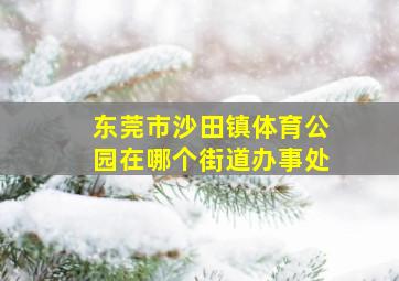 东莞市沙田镇体育公园在哪个街道办事处