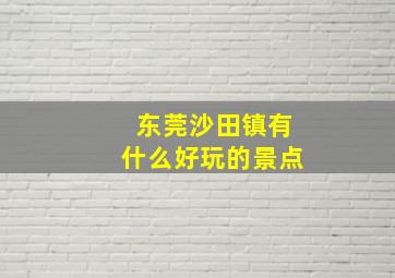 东莞沙田镇有什么好玩的景点