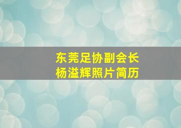 东莞足协副会长杨溢辉照片简历