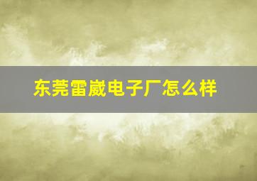 东莞雷崴电子厂怎么样