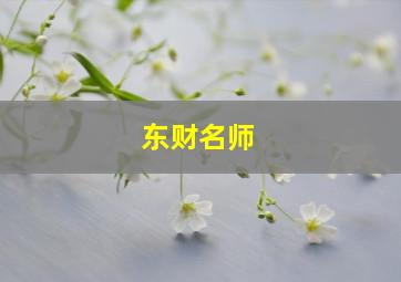 东财名师