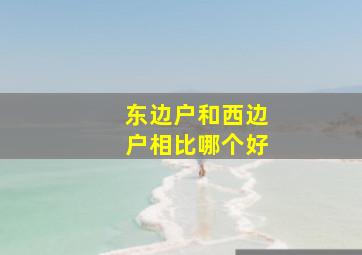 东边户和西边户相比哪个好