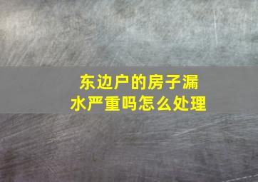 东边户的房子漏水严重吗怎么处理