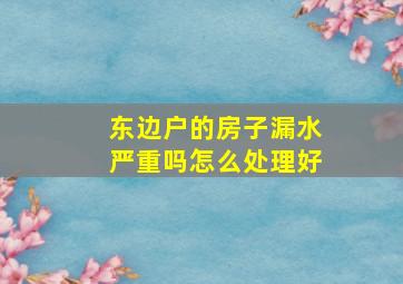 东边户的房子漏水严重吗怎么处理好