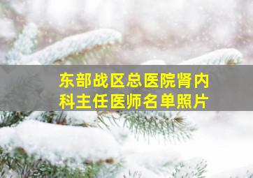 东部战区总医院肾内科主任医师名单照片