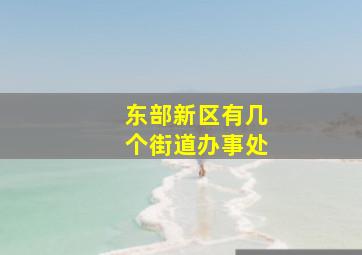 东部新区有几个街道办事处