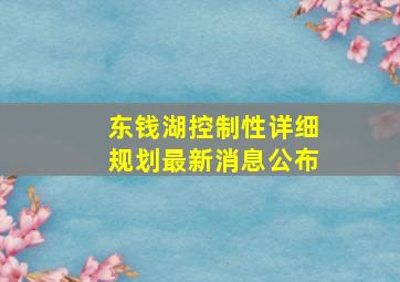 东钱湖控制性详细规划最新消息公布