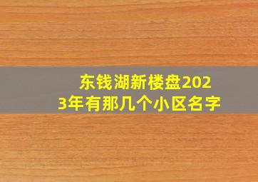 东钱湖新楼盘2023年有那几个小区名字