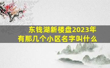 东钱湖新楼盘2023年有那几个小区名字叫什么