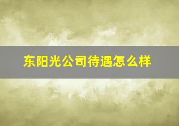 东阳光公司待遇怎么样