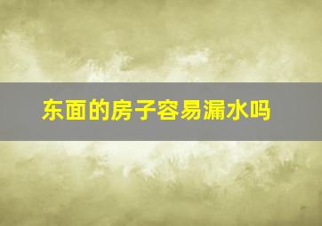 东面的房子容易漏水吗