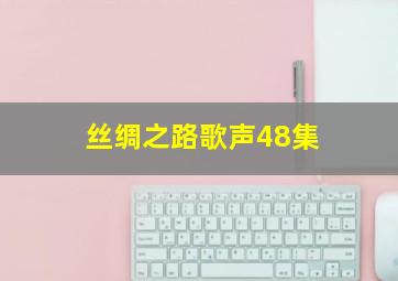 丝绸之路歌声48集