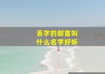 丢字的部首叫什么名字好听