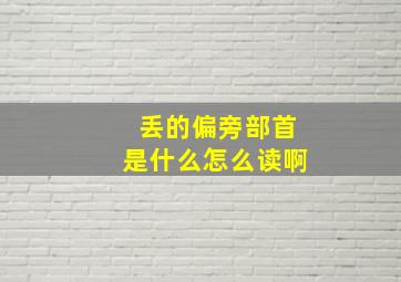 丢的偏旁部首是什么怎么读啊