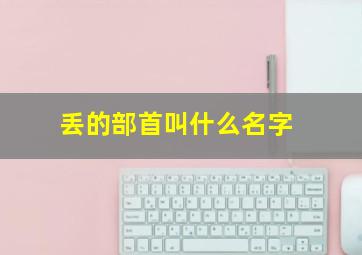 丢的部首叫什么名字