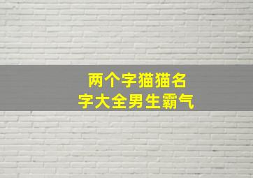 两个字猫猫名字大全男生霸气