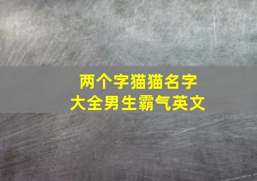 两个字猫猫名字大全男生霸气英文