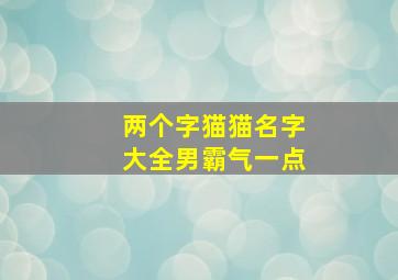 两个字猫猫名字大全男霸气一点