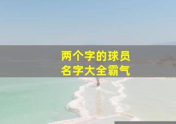 两个字的球员名字大全霸气